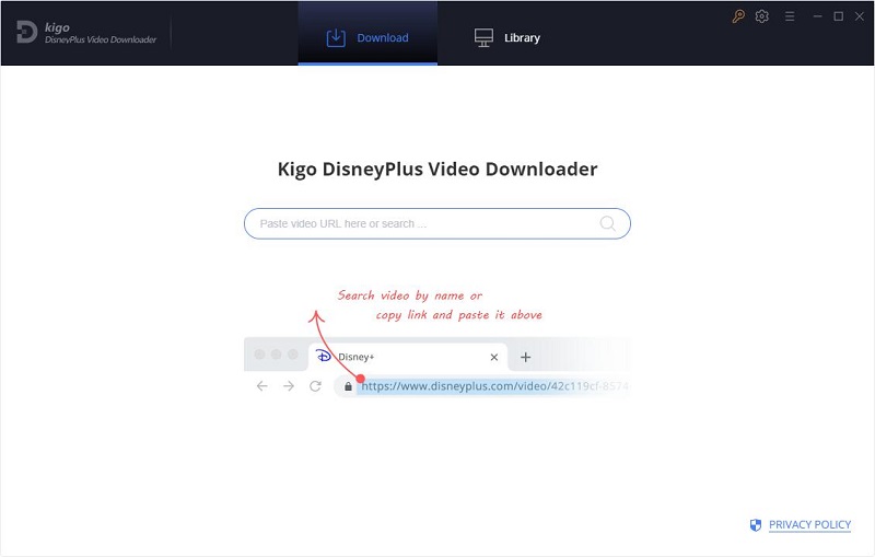 Disney+ Video Downloader Interface