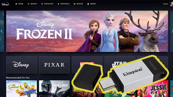 Download Disney+ to USB Drive