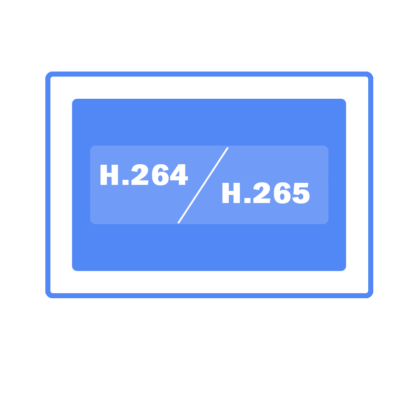 support H264 and H265