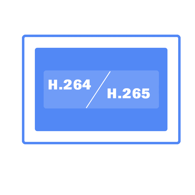 support 2 video codecs