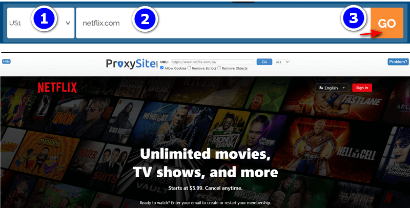 use proxy to unblock netflix